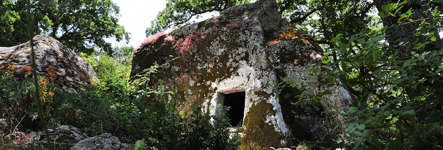 orroli